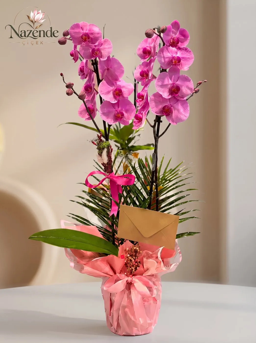 Pembe Orkide – Hediye Paketli – Bursa çiçek siparişi