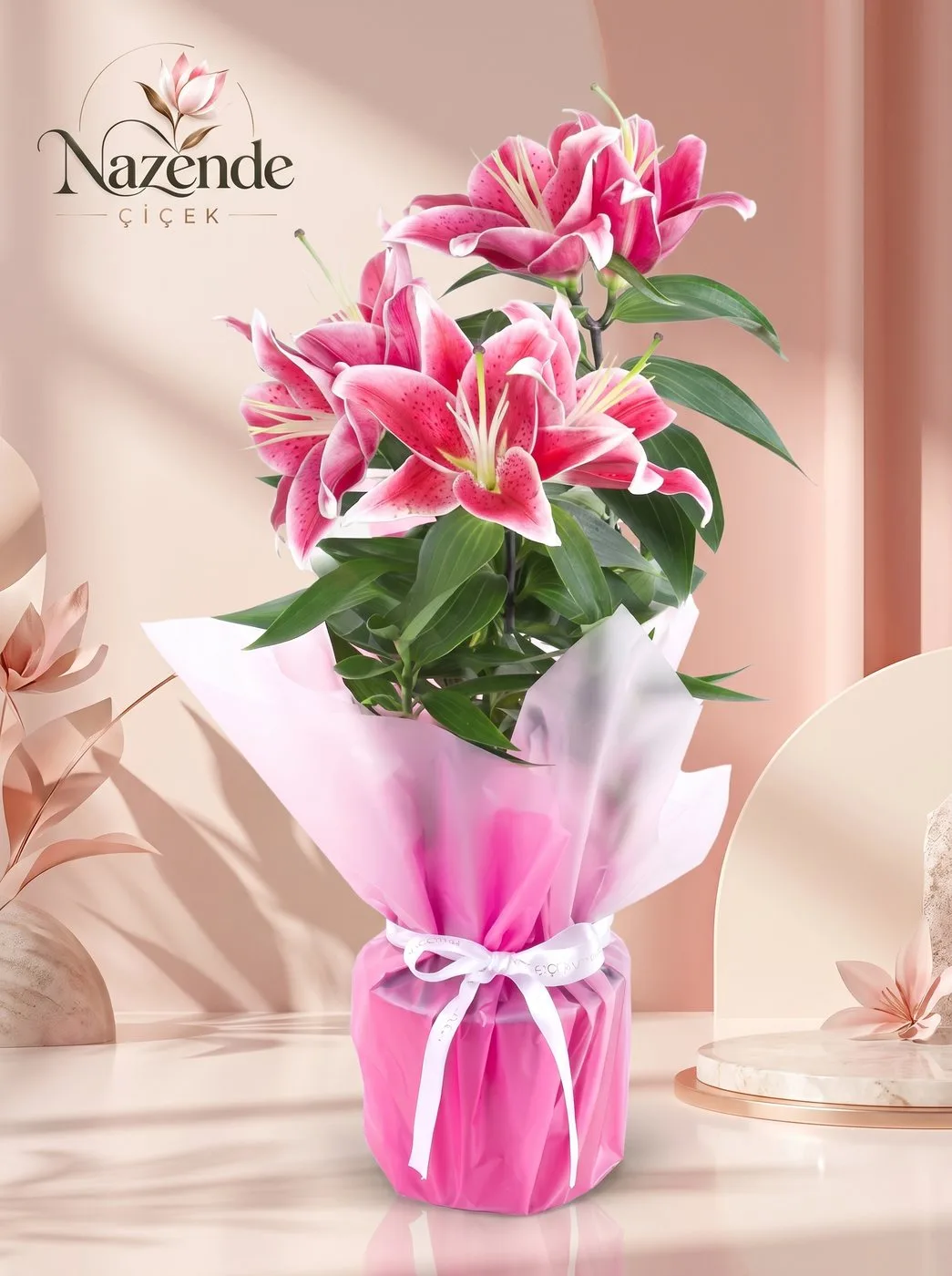Saksı Lilium – Pembe Paketli – Bursa çiçek siparişi
